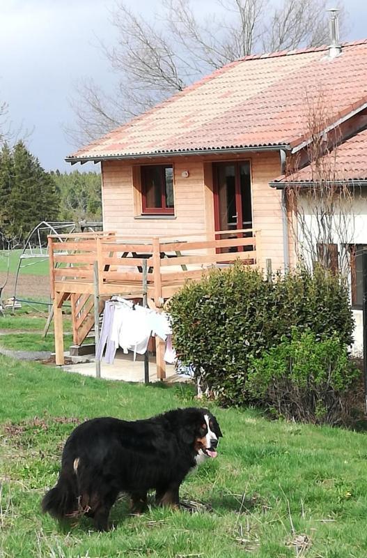Gite La Ferme De Baffour 拉谢斯迪约 外观 照片